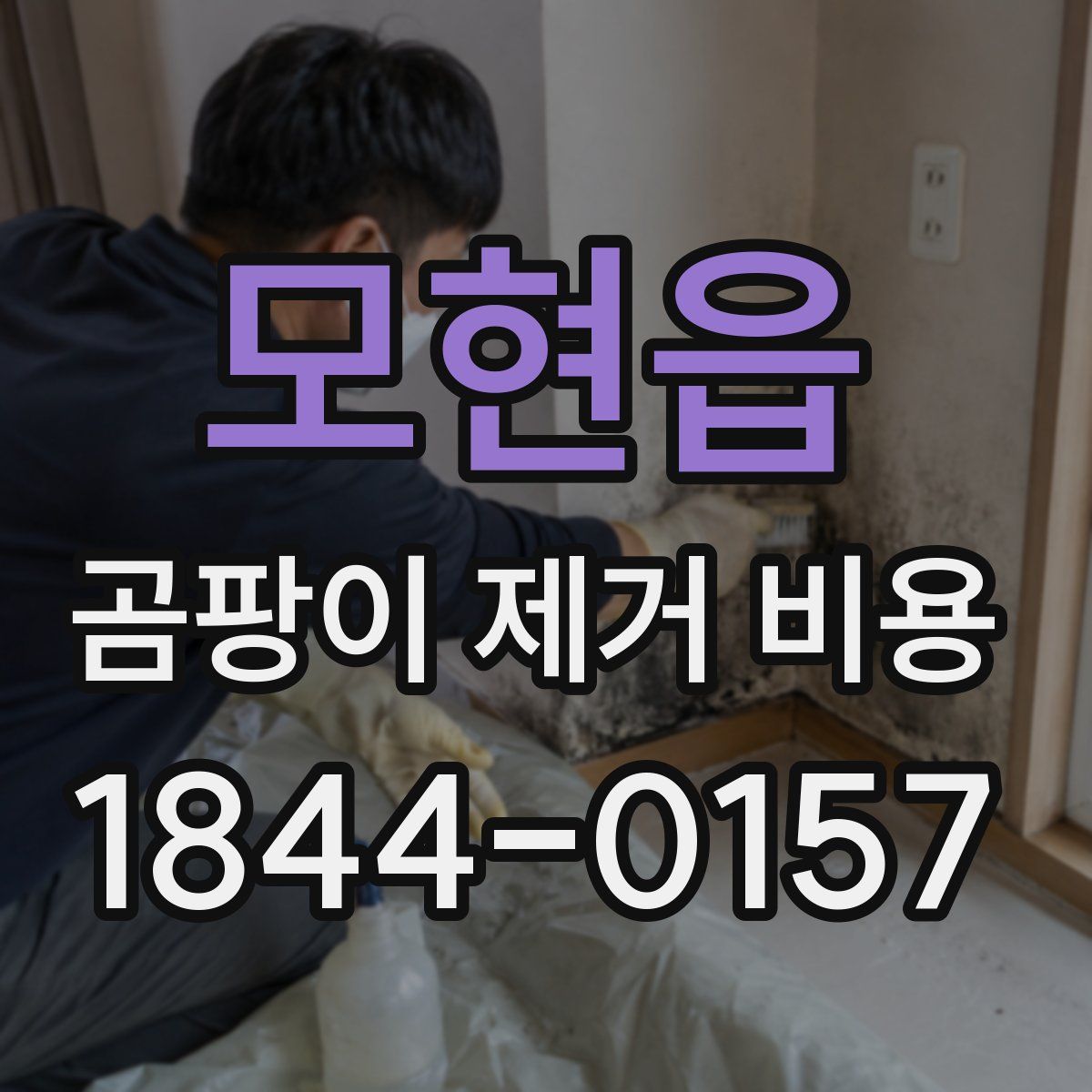 모현읍 곰팡이 제거 비용