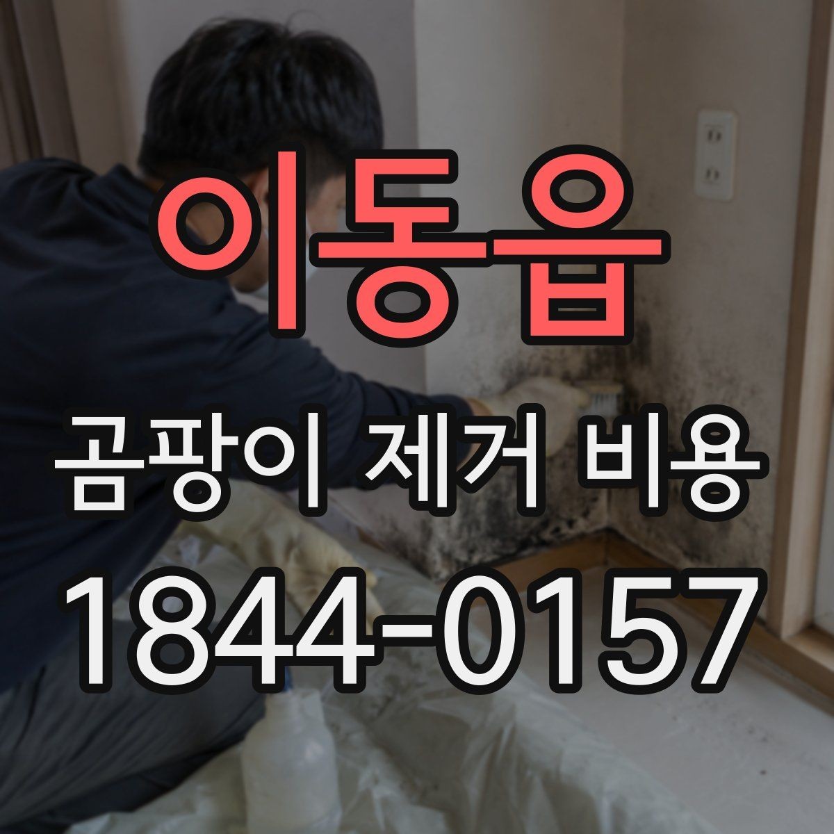 이동읍 곰팡이 제거 비용 상가와 주거공간에서 달라지는 작업 방식