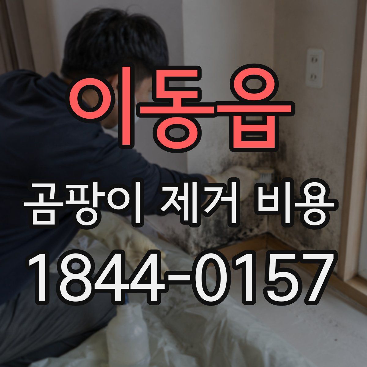 이동읍 곰팡이 제거 비용