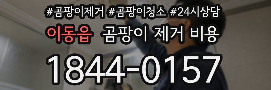 이동읍 곰팡이 제거 비용