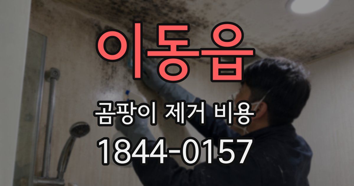 이동읍 곰팡이 제거 비용