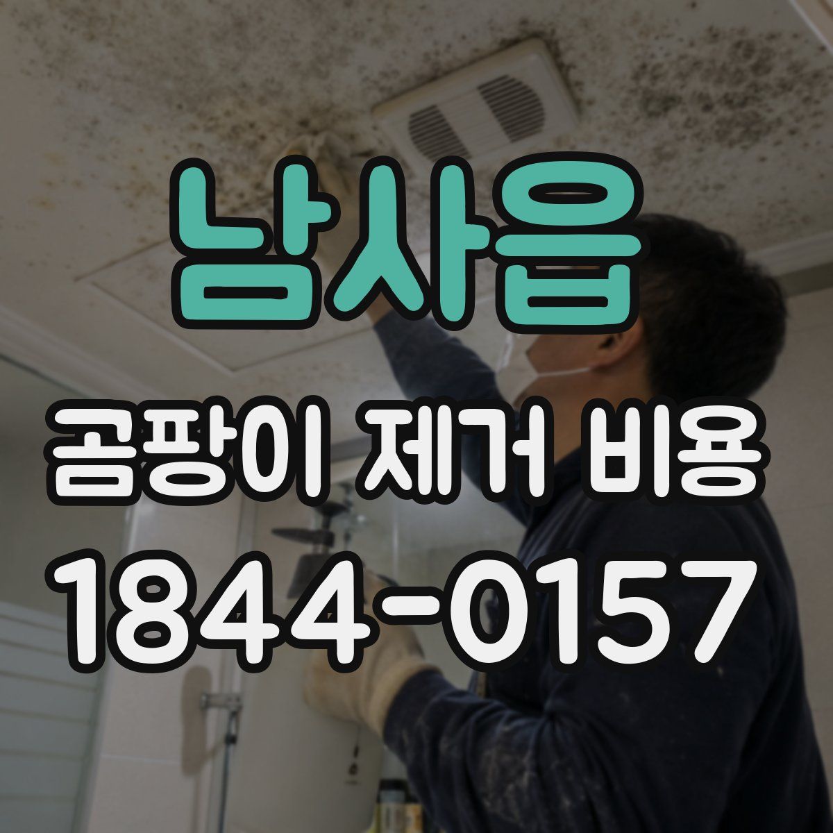 남사읍 곰팡이 제거 비용