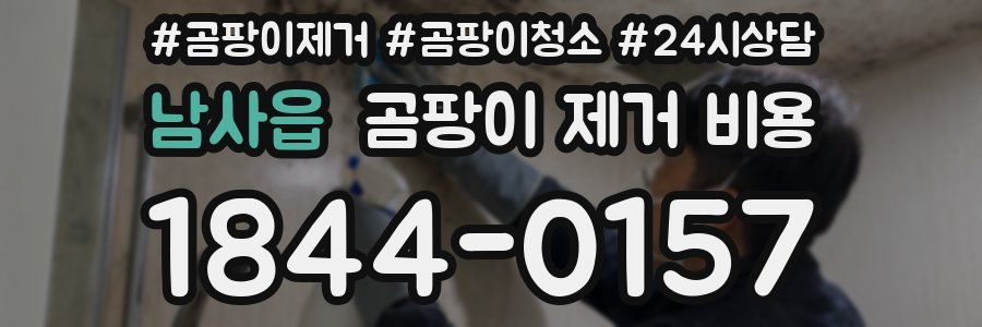 남사읍 곰팡이 제거 비용