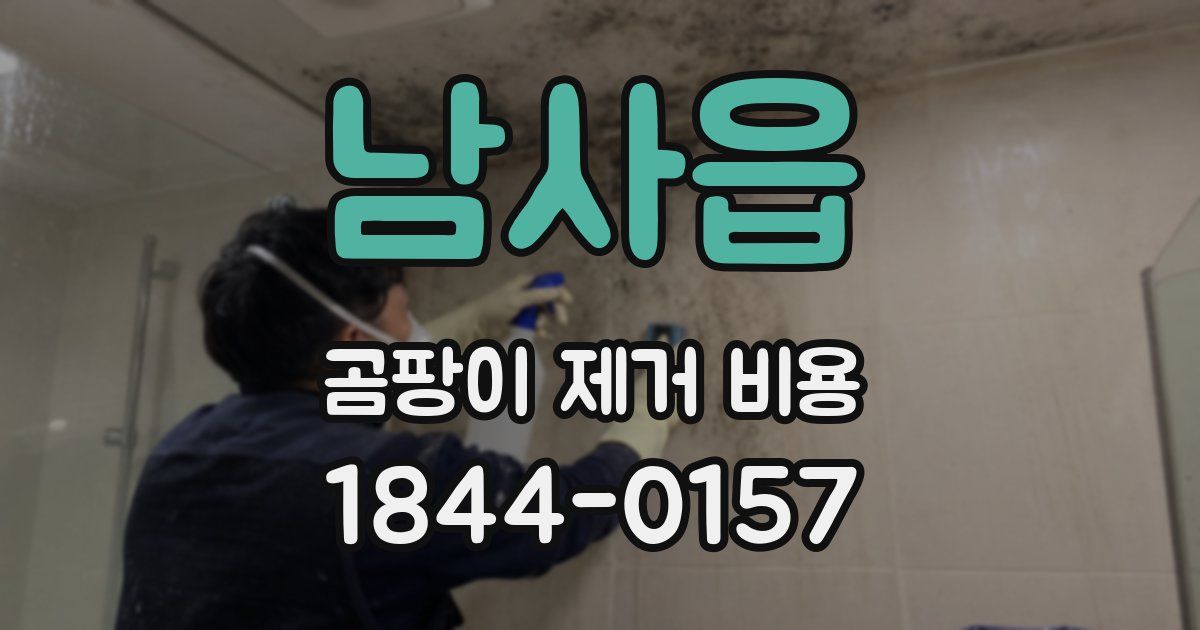 남사읍 곰팡이 제거 비용