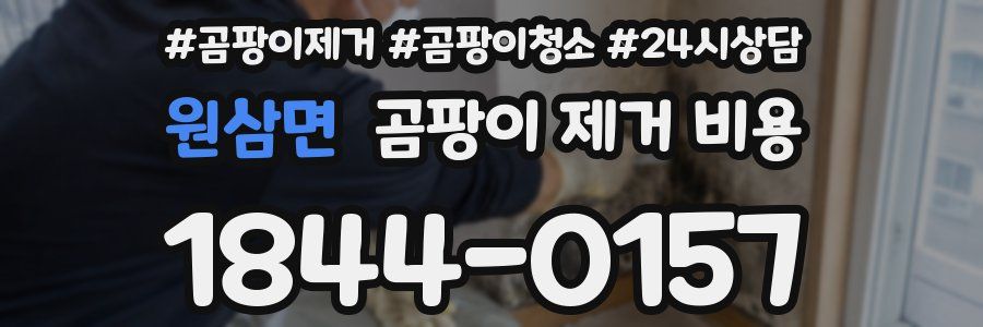 원삼면 곰팡이 제거 비용