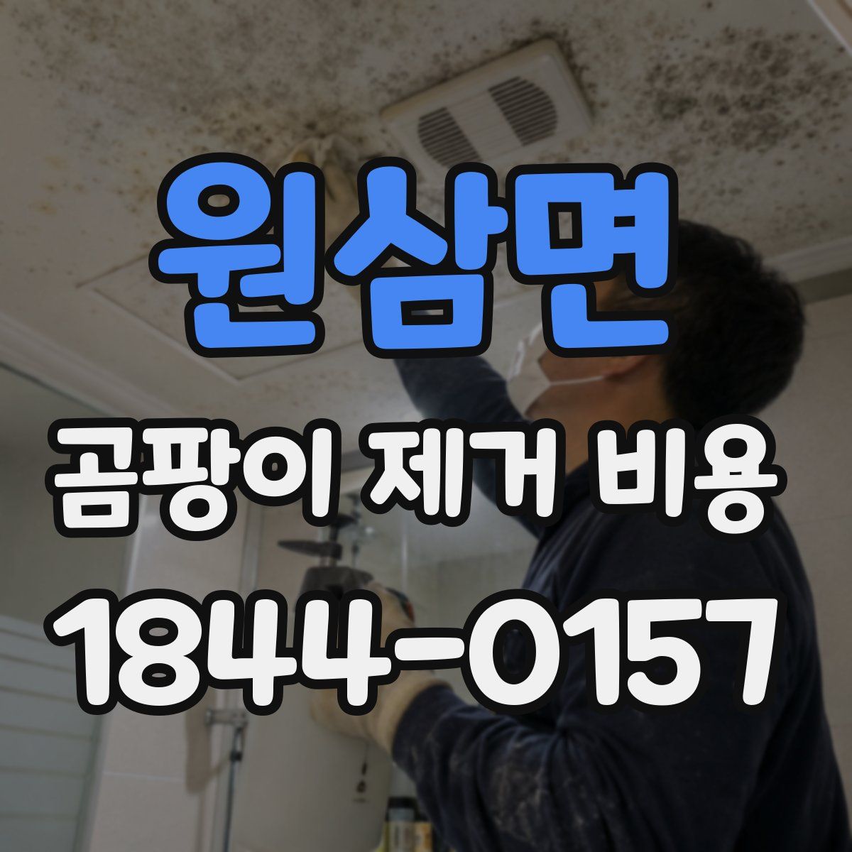 원삼면 곰팡이 제거 비용