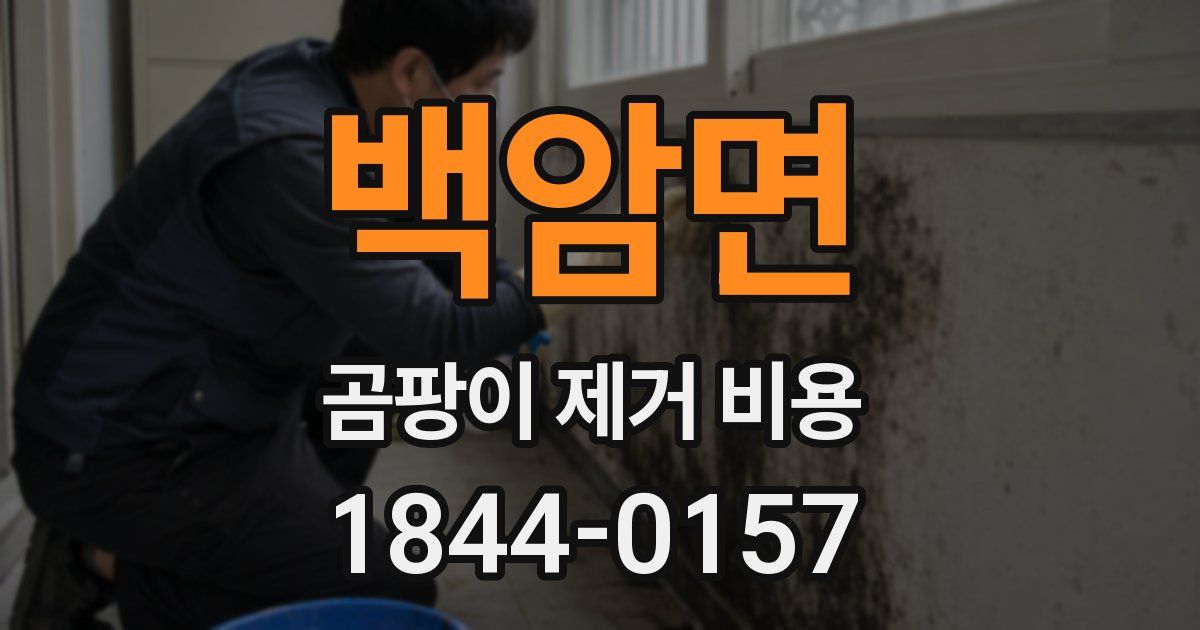 백암면 곰팡이 제거 비용