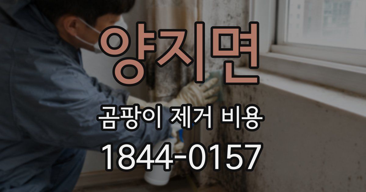 양지면 곰팡이 제거 비용