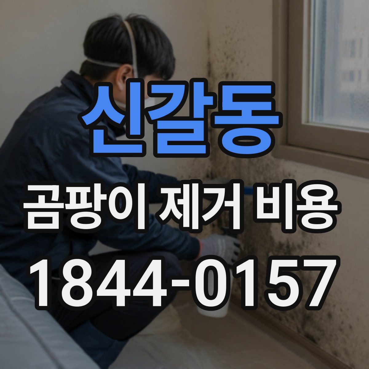 신갈동 곰팡이 제거 비용
