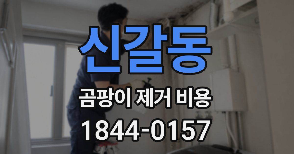 신갈동 곰팡이 제거 비용