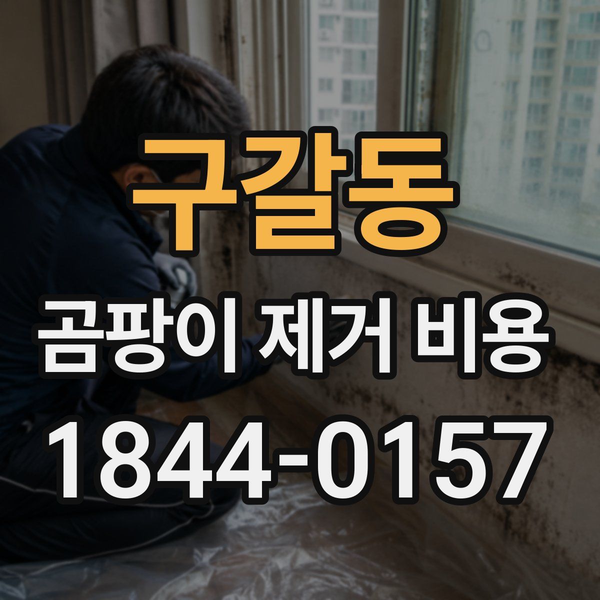 구갈동 곰팡이 제거 비용