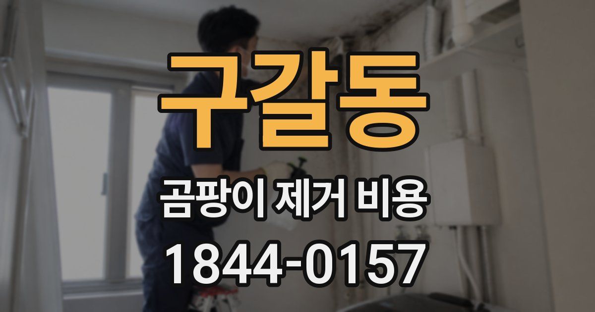 구갈동 곰팡이 제거 비용