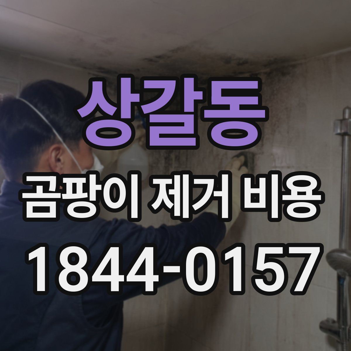 상갈동 곰팡이 제거 비용