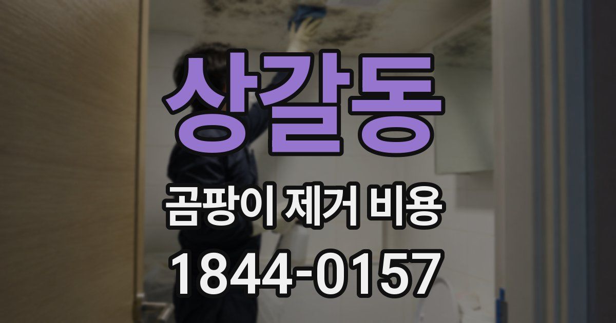 상갈동 곰팡이 제거 비용