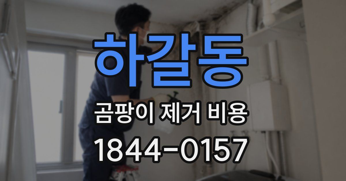 하갈동 곰팡이 제거 비용