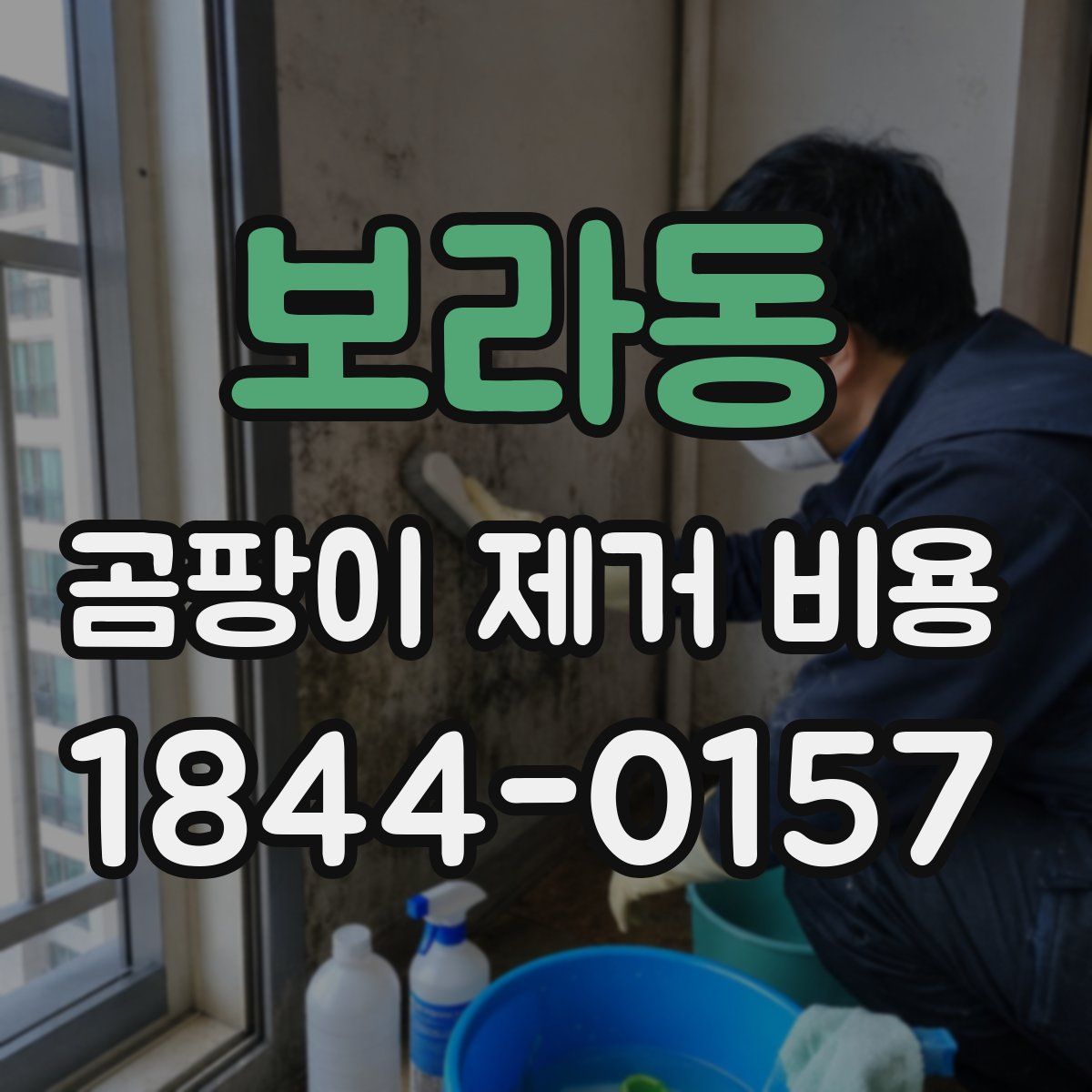 보라동 곰팡이 제거 비용
