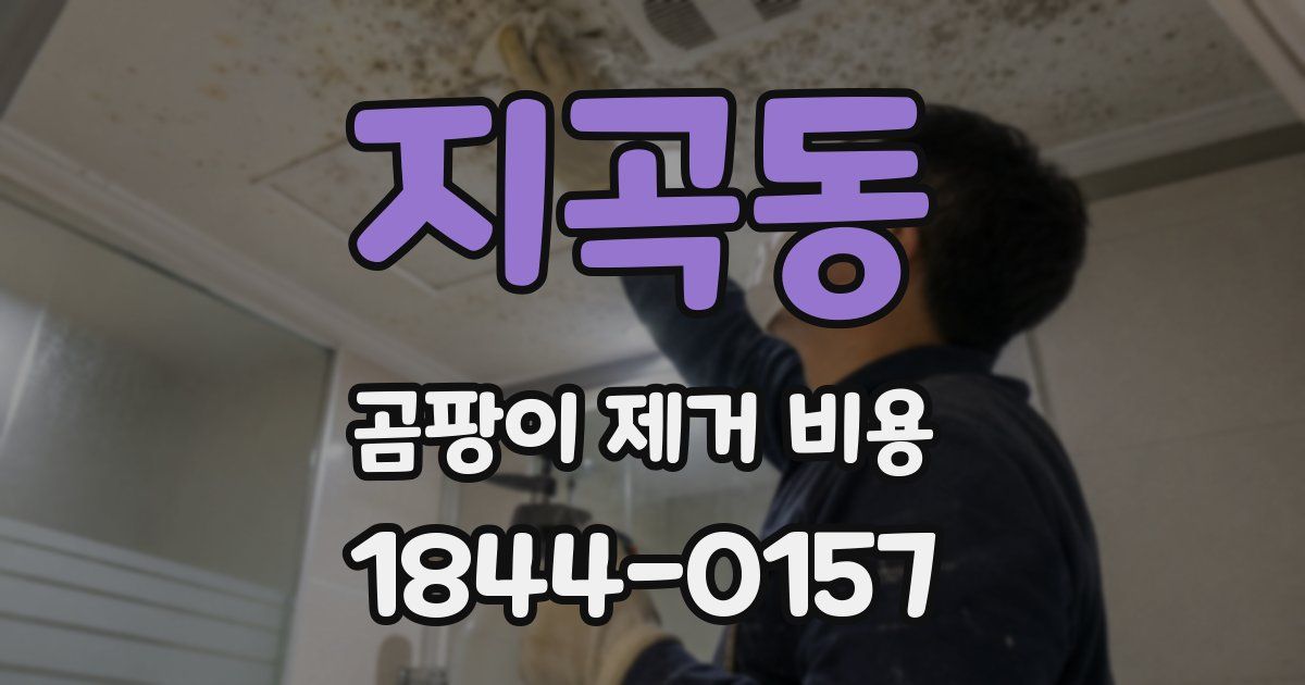 지곡동 곰팡이 제거 비용