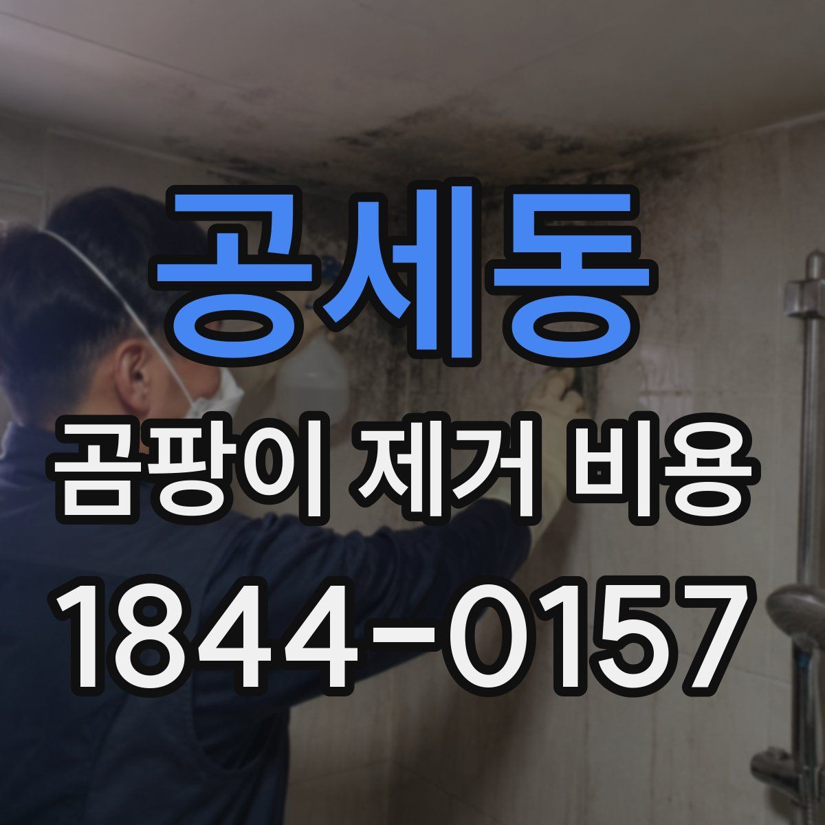 공세동 곰팡이 제거 비용