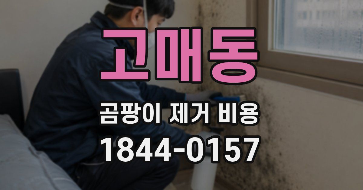 고매동 곰팡이 제거 비용