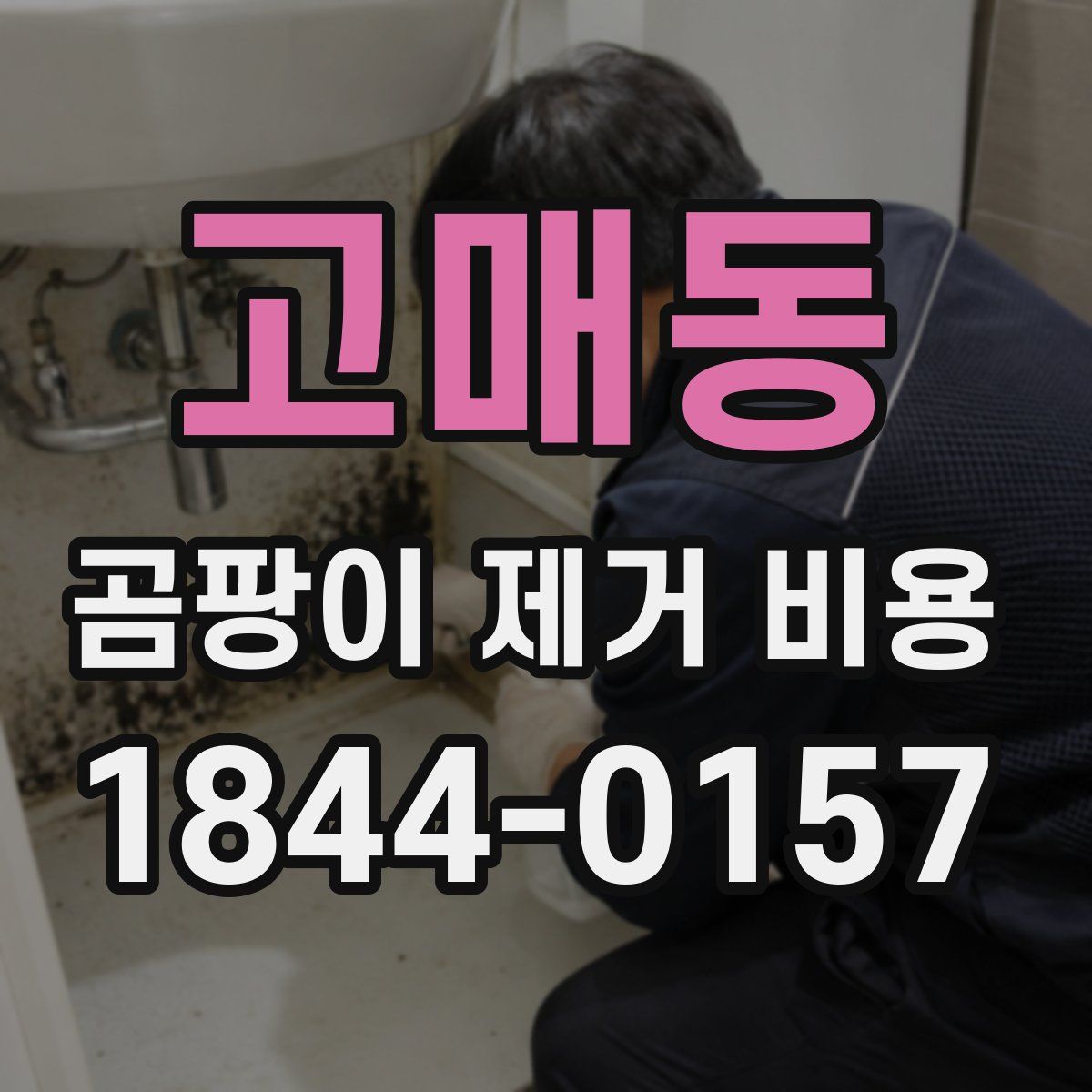 고매동 곰팡이 제거 비용