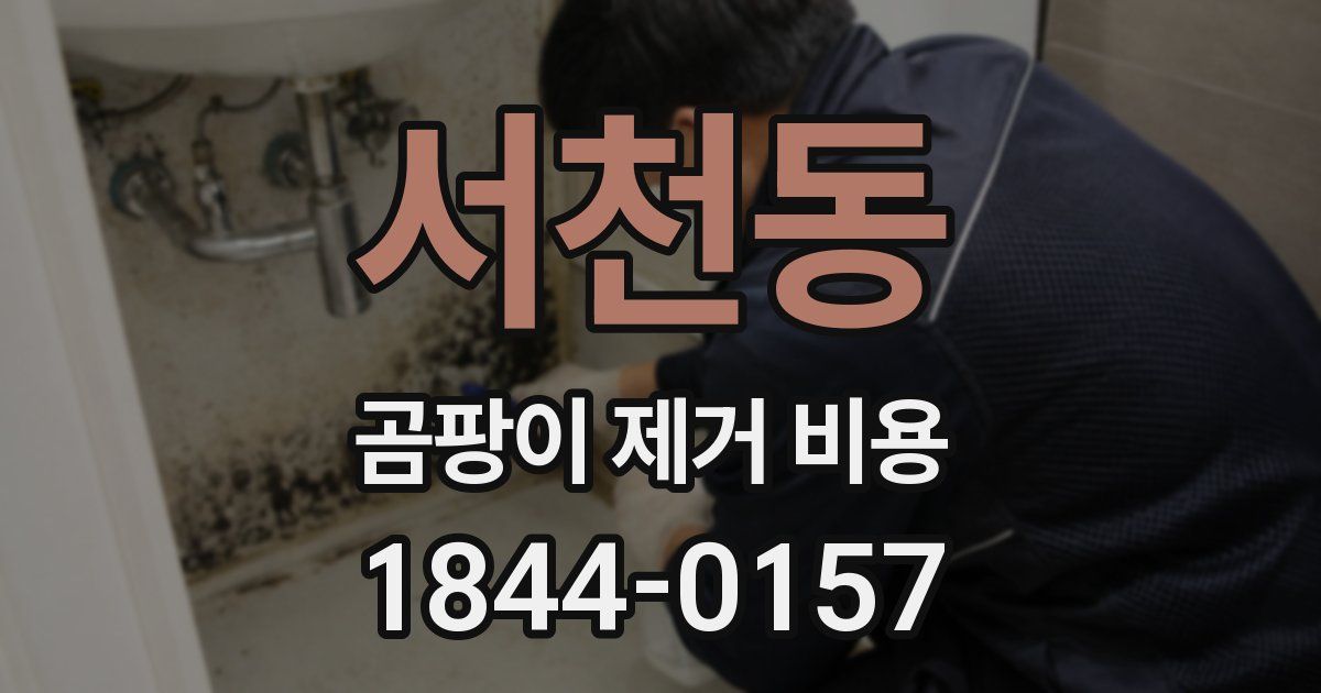 서천동 곰팡이 제거 비용