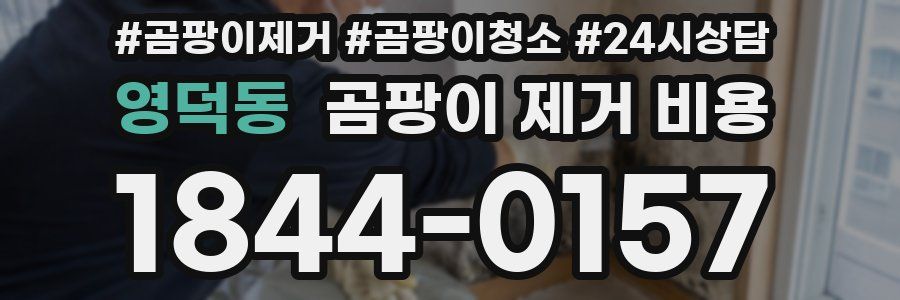 영덕동 곰팡이 제거 비용