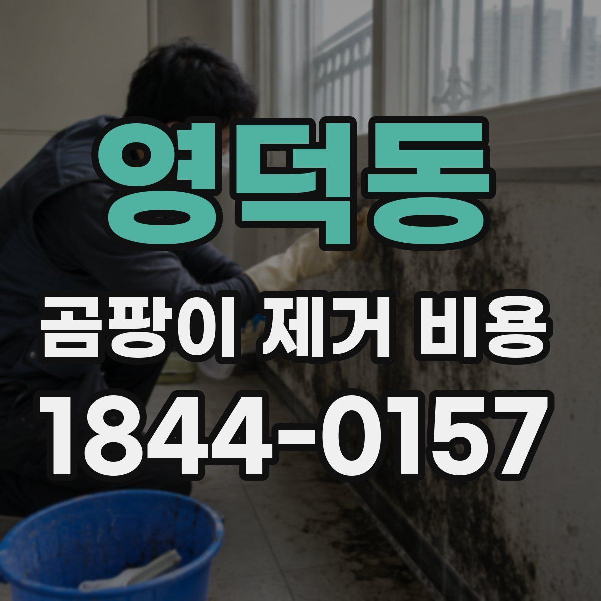 영덕동 곰팡이 제거 비용