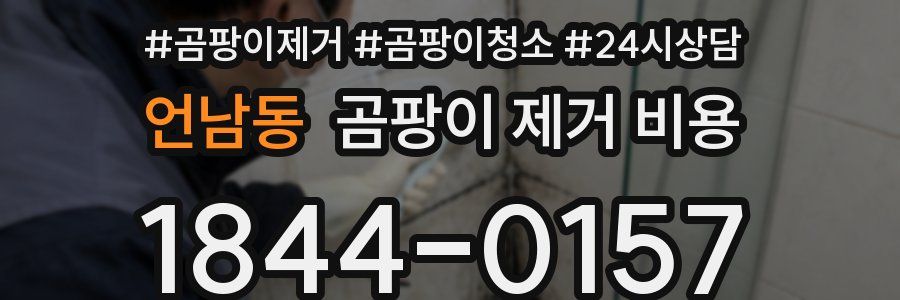 언남동 곰팡이 제거 비용