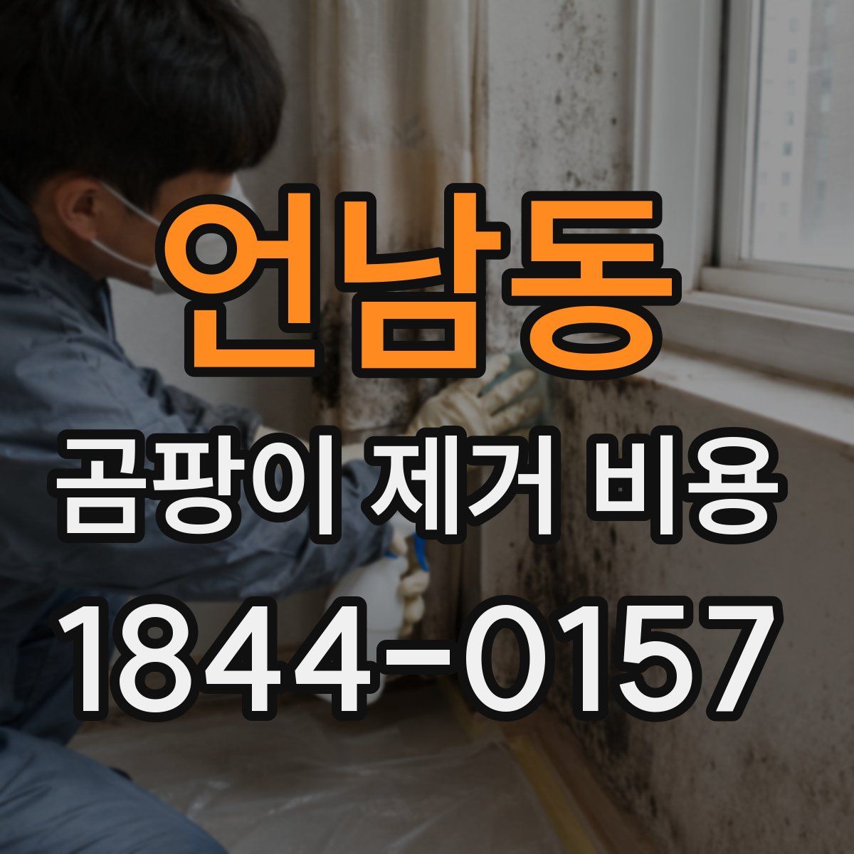 언남동 곰팡이 제거 비용
