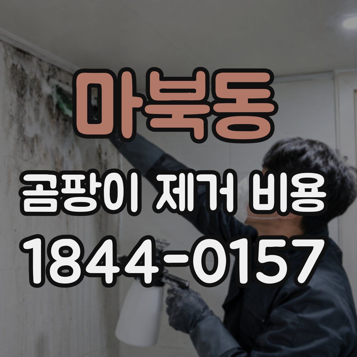 마북동 곰팡이 제거 비용