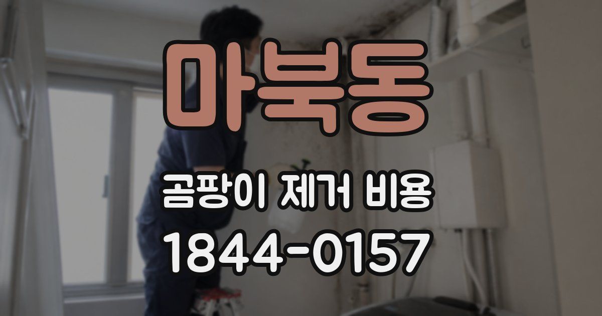 마북동 곰팡이 제거 비용