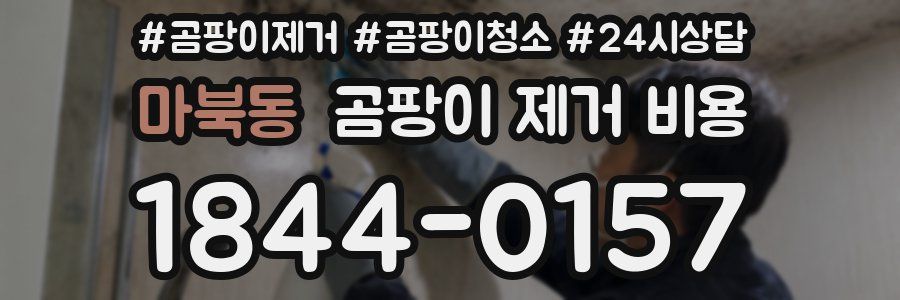 마북동 곰팡이 제거 비용