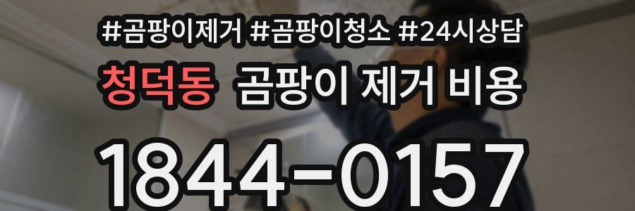 청덕동 곰팡이 제거 비용