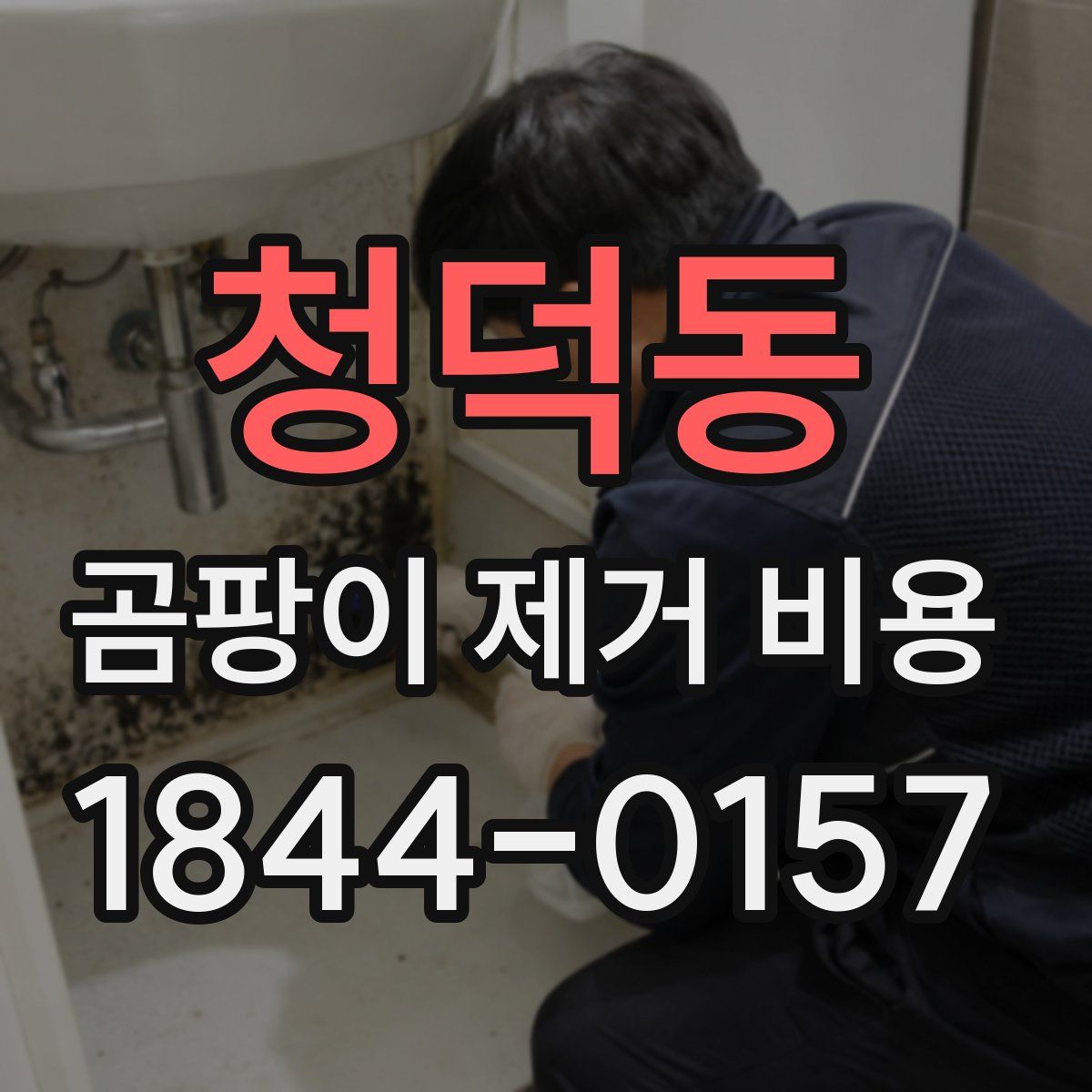 청덕동 곰팡이 제거 비용