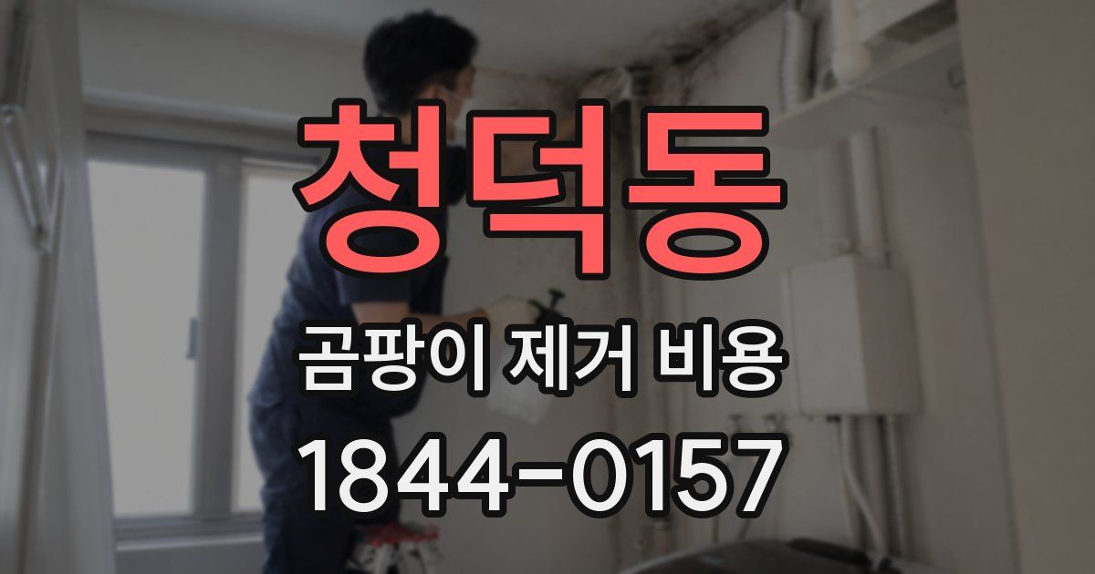 청덕동 곰팡이 제거 비용