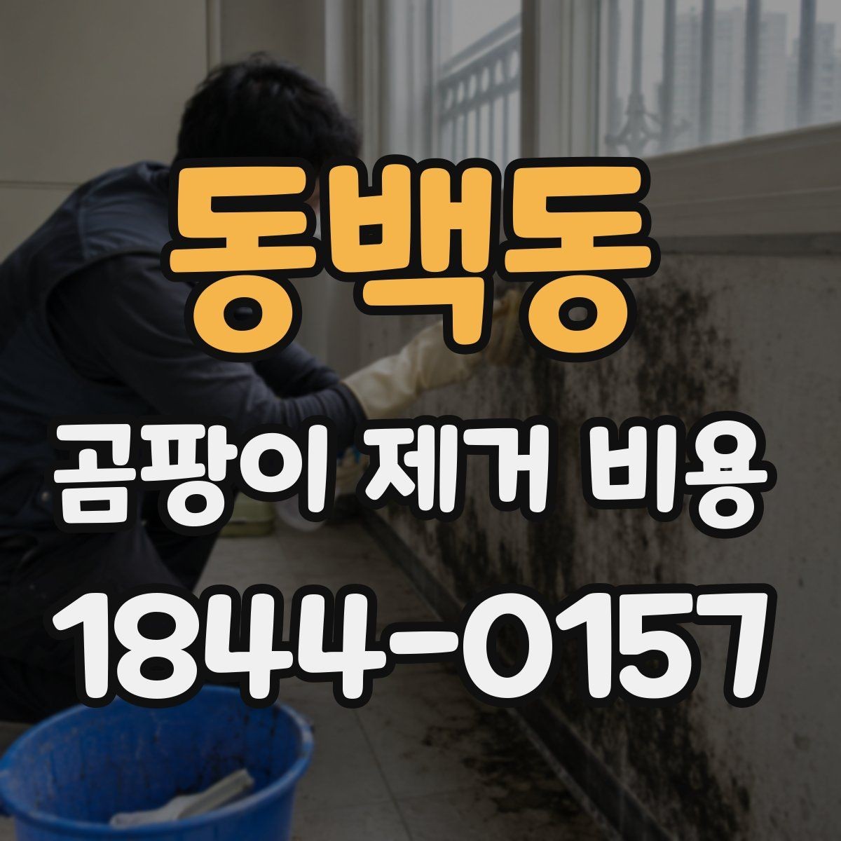 동백동 곰팡이 제거 비용 곰팡이 원인 진단이 선행돼야 하는 이유