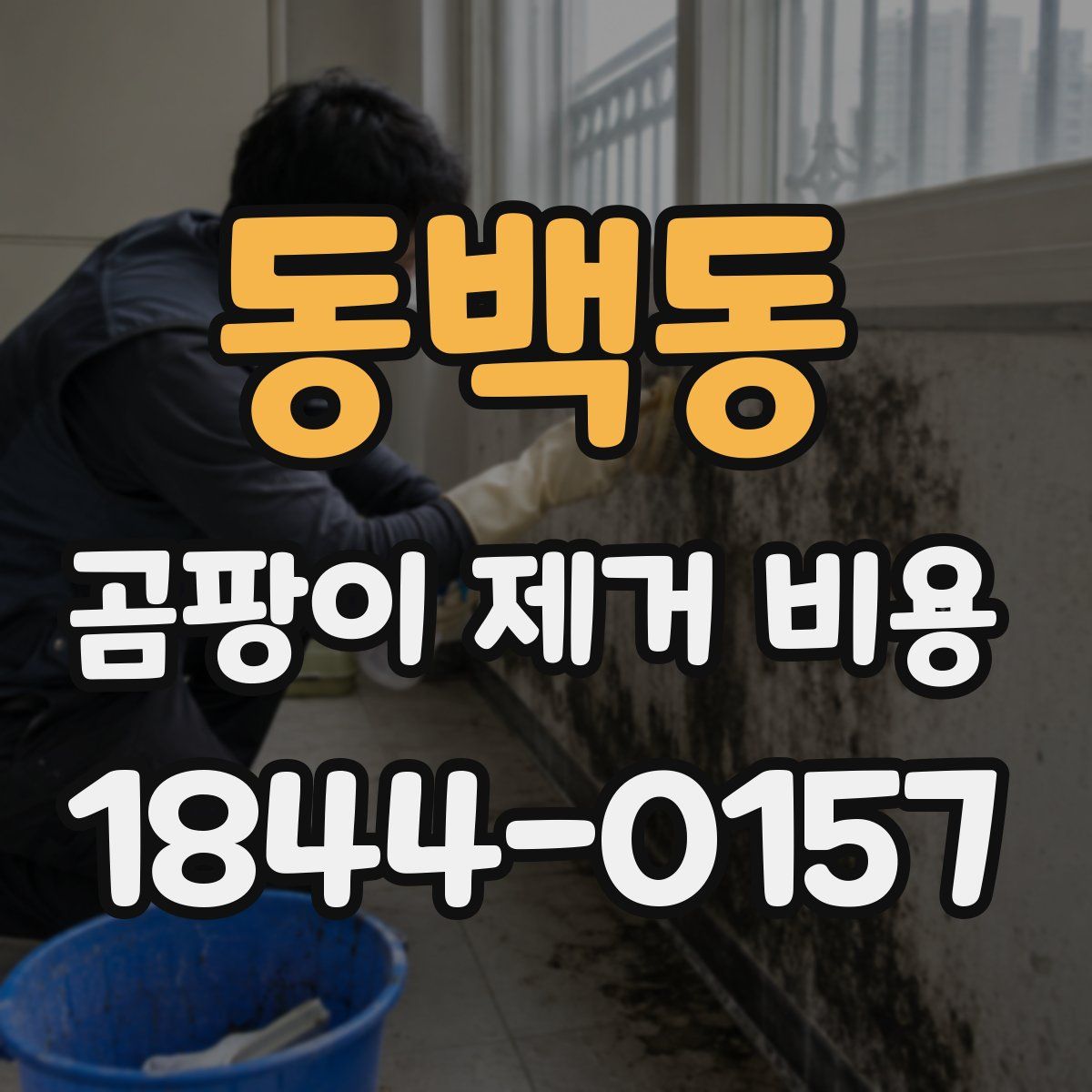동백동 곰팡이 제거 비용