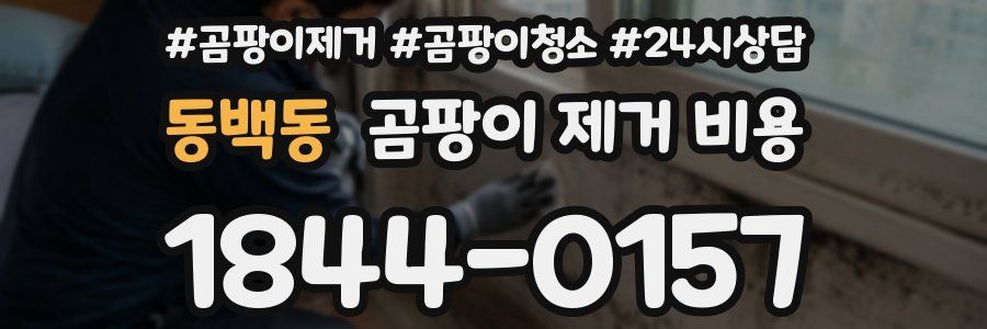 동백동 곰팡이 제거 비용