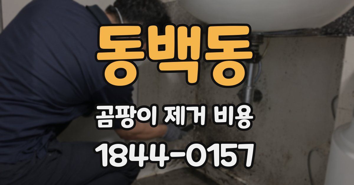 동백동 곰팡이 제거 비용
