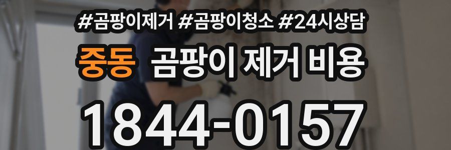 중동 곰팡이 제거 비용