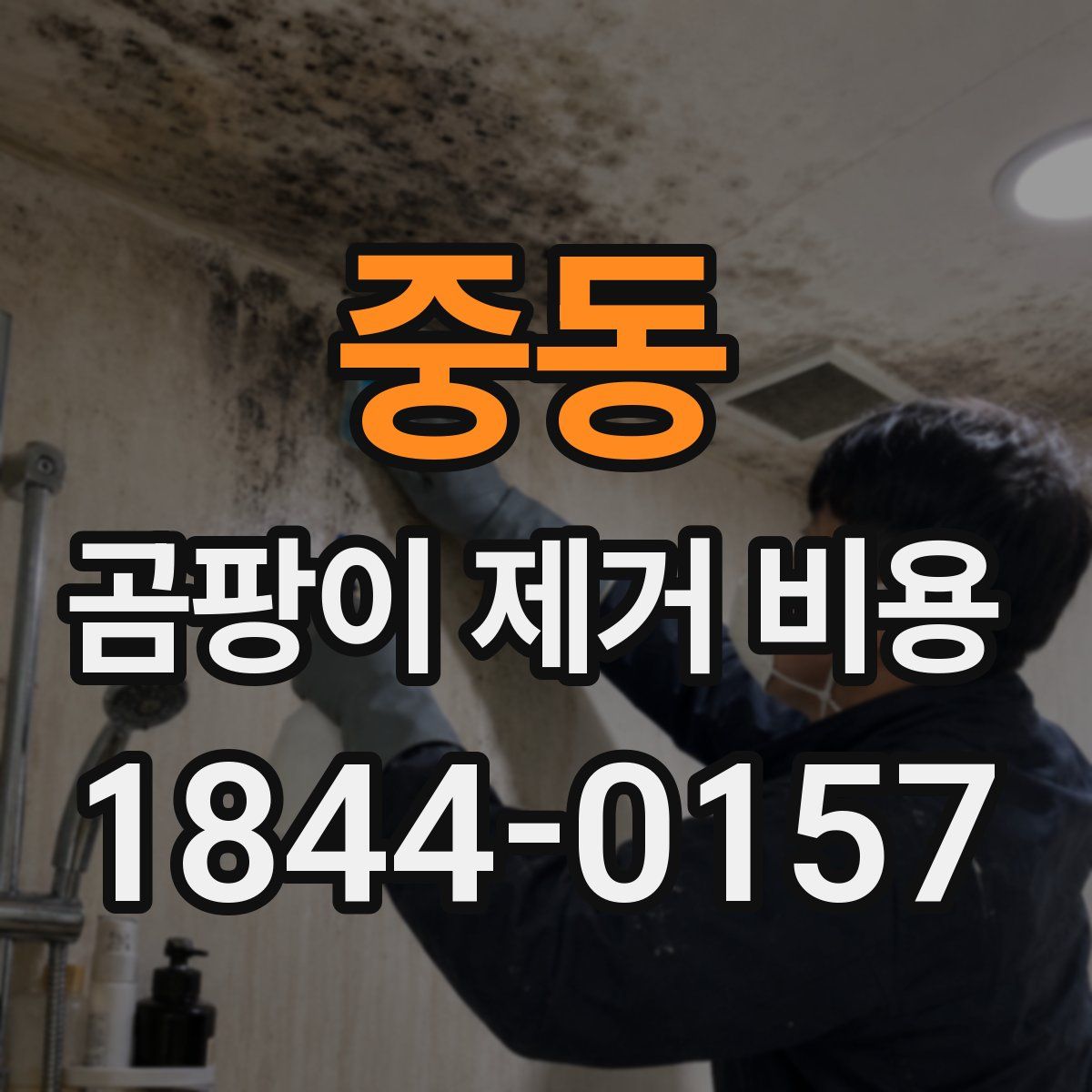 중동 곰팡이 제거 비용