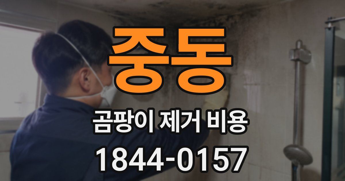 중동 곰팡이 제거 비용