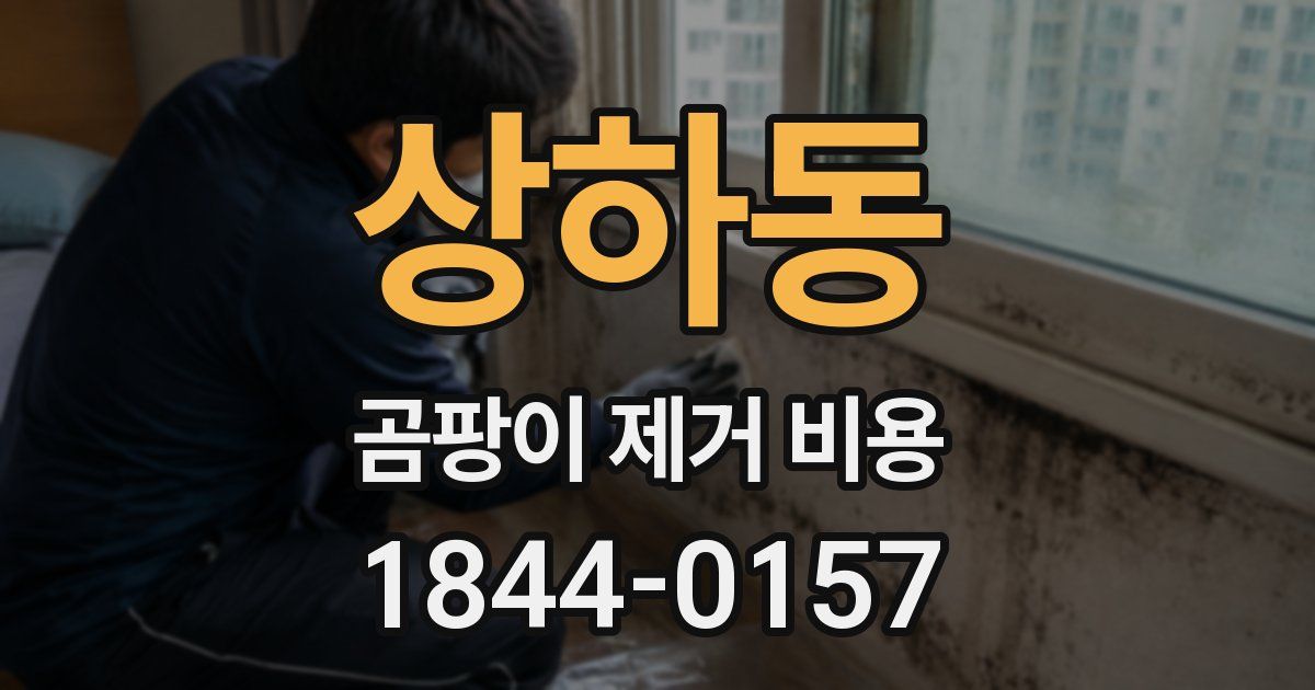 상하동 곰팡이 제거 비용