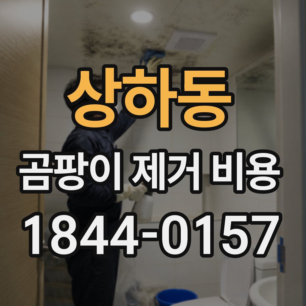 상하동 곰팡이 제거 비용