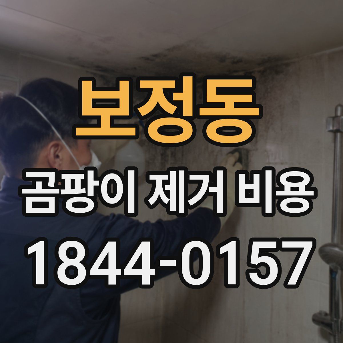 보정동 곰팡이 제거 비용