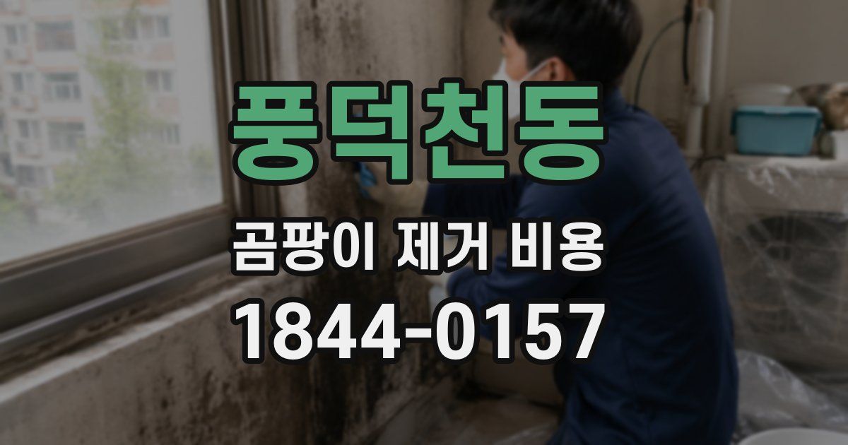 풍덕천동 곰팡이 제거 비용