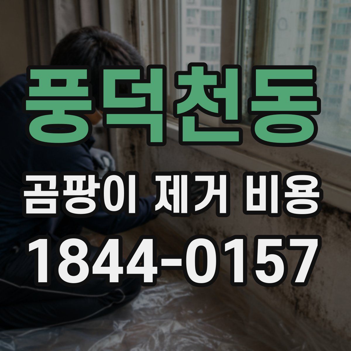 풍덕천동 곰팡이 제거 비용