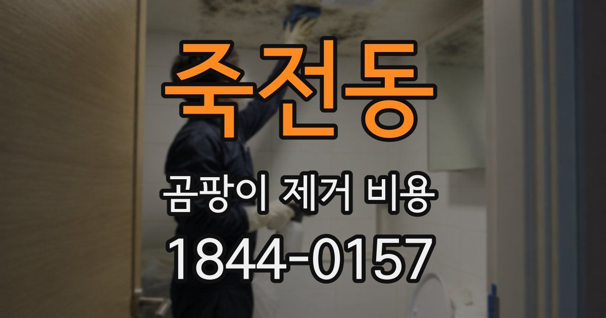 죽전동 곰팡이 제거 비용