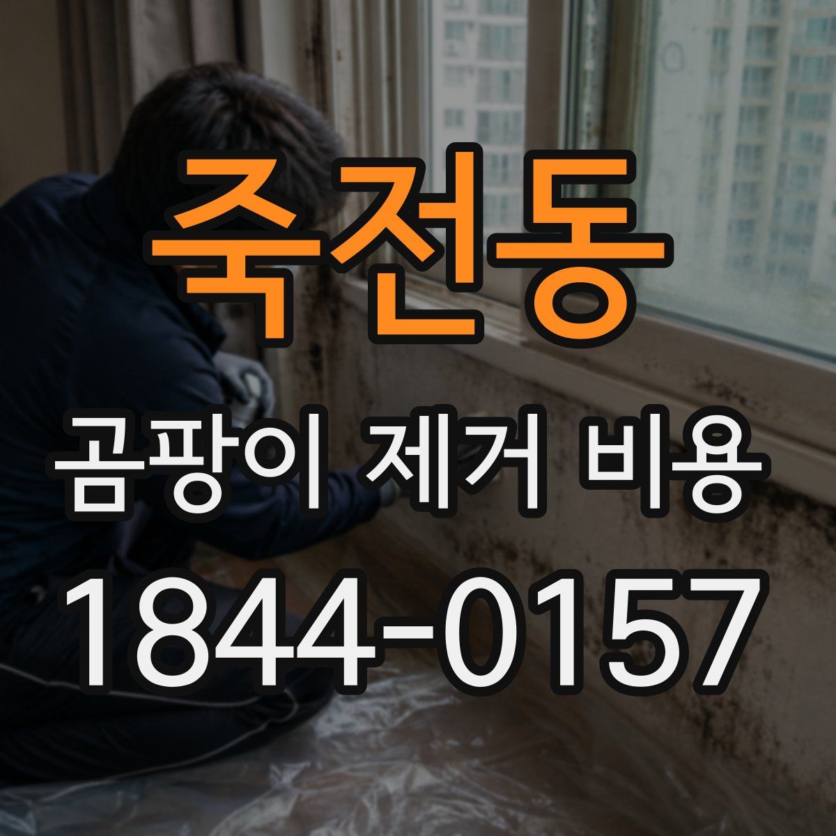 죽전동 곰팡이 제거 비용
