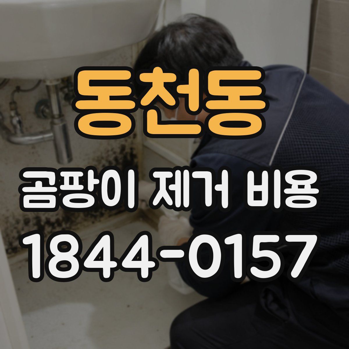 동천동 곰팡이 제거 비용